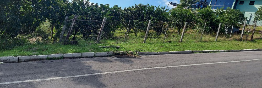 Terreno - Venda - Planalto - Carlos Barbosa - RS